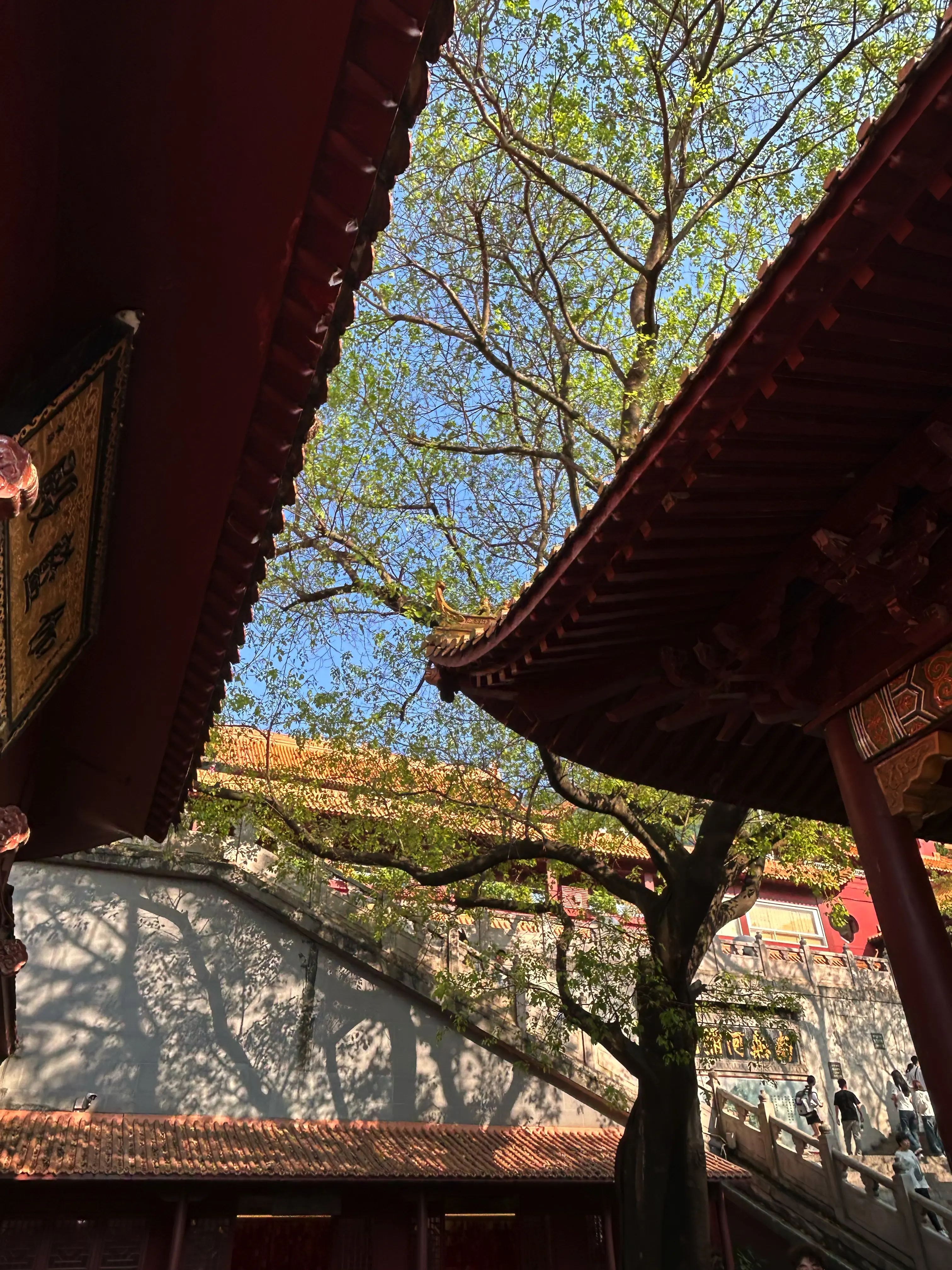 绿树掩映下的弘法寺建筑
