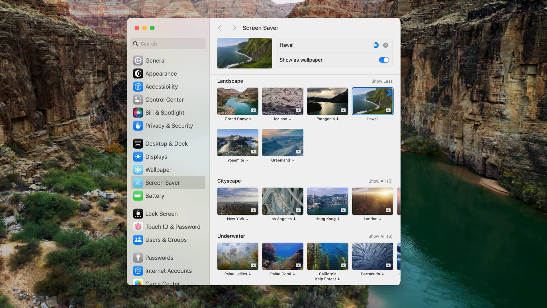 macOS 航拍屏保下载速度缓慢